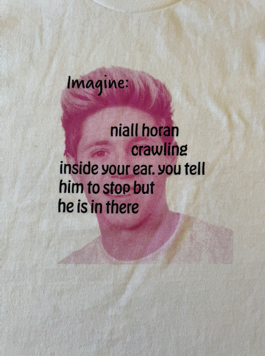 Imagine Niall In Your Ear Tee